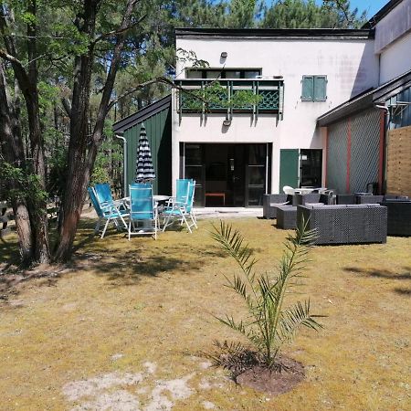 Superbe Appartement Dans La Pinede, Proche Ocean Lacanau Eksteriør bilde